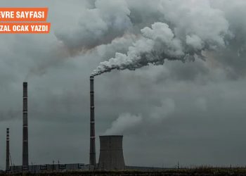 Çevre Sayfası… Dumansız Para Sahası: Başka türlü bir dünya için