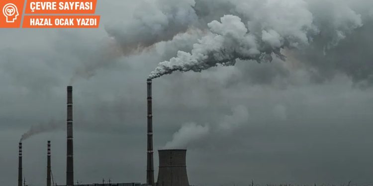 Çevre Sayfası… Dumansız Para Sahası: Başka türlü bir dünya için