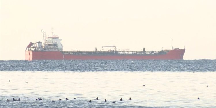 Rusya’dan gelen ayçiçeği yağı yüklü gemi İstanbul Boğazı’na ulaştı