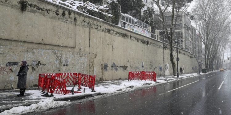 TEMA’dan İBB’nin kestiği 112 çınarla ilgili açıklama