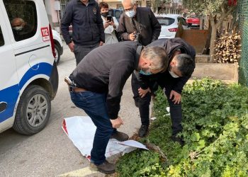 Turgutlu’da bir kedi daha bacakları kesilmiş halde ölü bulundu: Son 4 ayda 6 hayvan katledildi