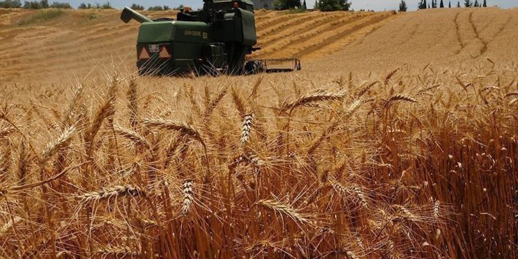 Ukrayna’dan tarım ürünleri ithalatında belge istisnası getirildi