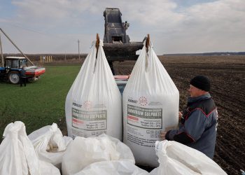 İngiltere’de çiftliklerde çalışan Ukraynalı işçilere kölelik koşulları dayatılıyor