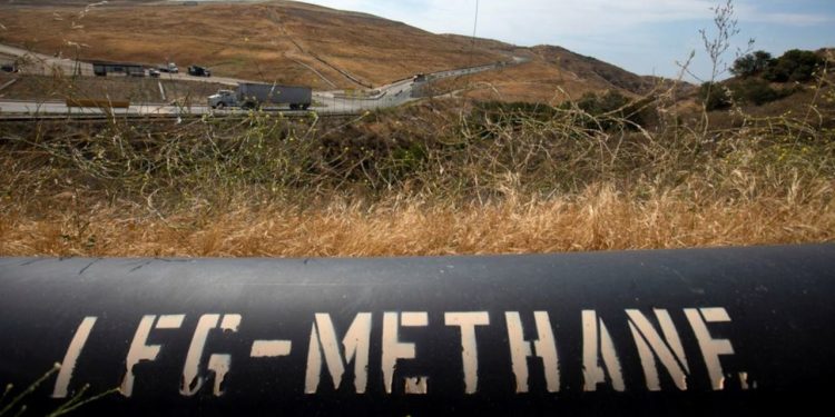 Metanı elektriğe dönüştüren mikroplar keşfedildi