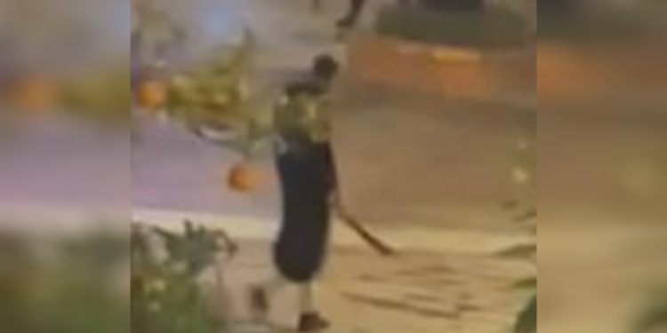 İspanya’da iki kiliseye palalı saldırı: 1 rahip öldü, 4 yaralı